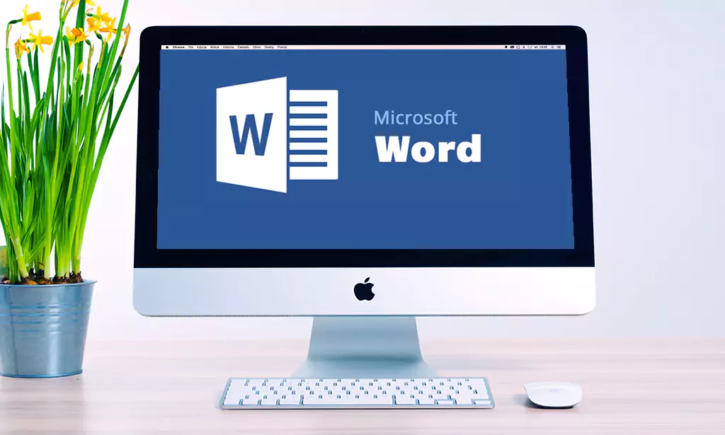 Microsoft Word Essentials Course